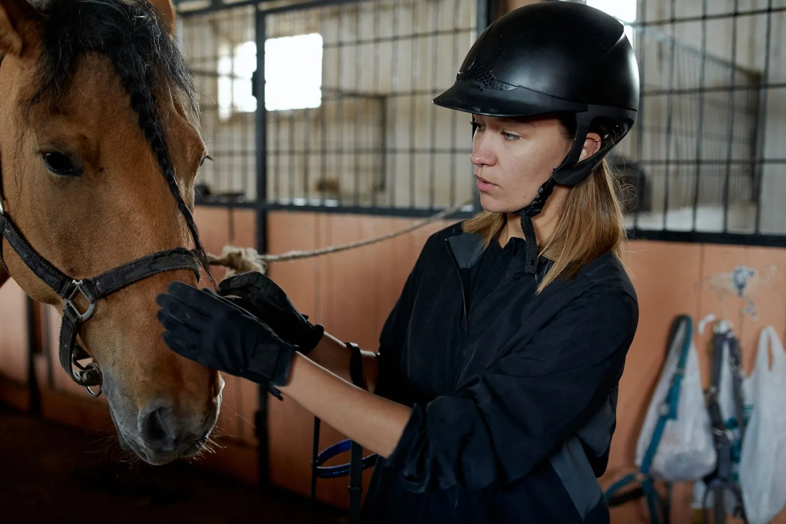 Preparing Your Horse for a Veterinary Visit
